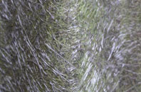 Huntingfield fibreglass roof work